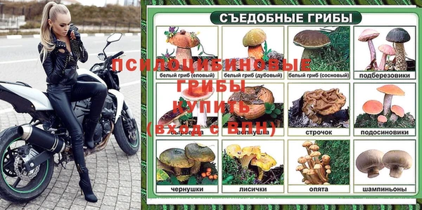 spice Беломорск
