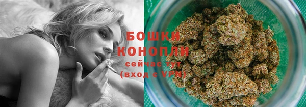ПСИЛОЦИБИНОВЫЕ ГРИБЫ Балабаново