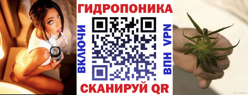 Канабис семена  Козельск 